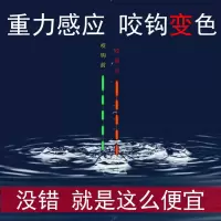 咬钩变色夜光漂水无影超亮鱼漂重力感应日夜两用高灵敏夜钓浮漂标