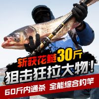 鱼竿手竿超轻超硬竿28调日本碳素19调台钓竿鲤鲫鱼杆套装J9