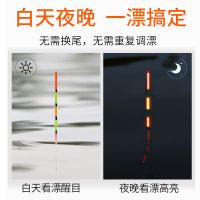 纳米水无影超亮夜光漂高灵敏鲫鱼鲤鱼浮漂浅水电子漂夜钓日夜两用