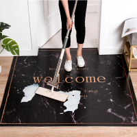 地垫进门入户门脚踏垫门口北欧地毯门厅防滑垫可擦免洗可裁剪定制
