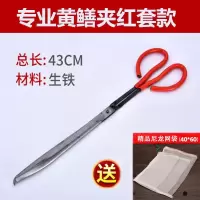 加长黄鳝夹鳝鱼钳控鱼器泥鳅夹螃蟹夹鳝鱼夹子环卫垃圾夹铁钳防滑|专业黄鳝夹43CM(收藏送网袋)