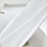 一次性无纺布马桶垫酒店厕所出差旅行孕产妇加厚防水防滑隔脏隔凉