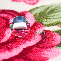 入户地垫门垫进门家用门口门厅客厅卧室厨房卫生间脚垫地毯防滑垫