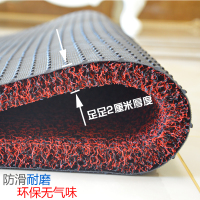 丝圈地垫门垫进门入户脚垫防滑垫门厅门口家用地毯汽车脚垫可定制