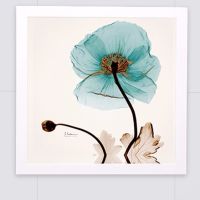 浴室衣服储物柜壁画置物架卫生间厕所壁挂式墙上免打孔折叠收纳柜|灼灼青莲40*40