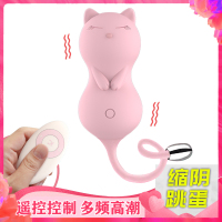 Dibe 成人情趣女性用品自慰器跳蛋无线内裤多频av振震动按摩棒防水夫妻私密系列学生活玩具仿真假阳具炮机舌舔吸阴刺激高潮