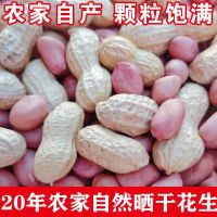特产新花生咸干花生蒜香带壳干花生米多规格可选500克