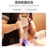 神火伍德氏灯照猫藓灯宠物紫光灯手电筒紫外线真菌荧光剂猫尿廯灯
