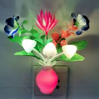 小夜灯光控led开关插电节能灯七彩感应灯婴儿喂奶卧室床头灯夜灯