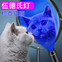 白癜风猫尿伍德氏紫外线照查真菌检测灯灯猫藓灯宠物紫光灯手电筒