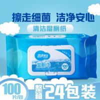 整箱24包 湿巾纸家庭装100片装大包湿厕纸私处杀菌成人湿纸巾|100片*24包