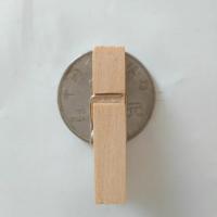 大小木夹子照片夹麻绳彩色防风晾衣夹晒衣夹裤夹酒店传菜夹子|小号长宽3.5X0.7厘米100个