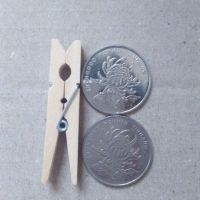 大小木夹子照片夹麻绳彩色防风晾衣夹晒衣夹裤夹酒店传菜夹子|中号4.8X0.7厘米50个