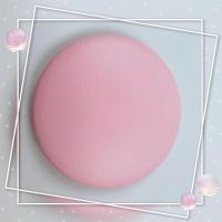 网红化妆镜子带灯led随身迷你便携补妆小镜子学生宿舍折叠创意镜|樱花粉(充电款)