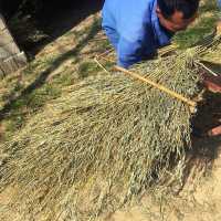 卫洋环卫大扫把竹马路扫竹子户外加大加宽扫院子扫帚竹笤帚竹扫把