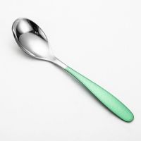 加厚不锈钢彩色成人吃饭勺子家用长柄汤匙套装儿童勺调羹韩式餐具H4|儿童果绿(一支装)