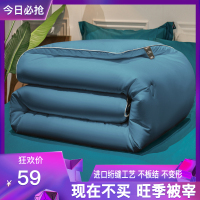 世泽轩家纺 2020新款云柔大豆加厚冬被秋冬单双人床上用品