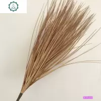 芦苇干花仿真狗尾巴假花枝落地花艺绿色橱窗装饰仿真植物花卉 封后 深绿1米芦苇