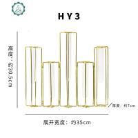 ins风金属铁艺术试管花瓶摆件插花 客厅干花 小清新装饰 封后