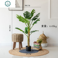 仿真大型巨型龟背树盆景绿植物装饰龟背竹森系落地面摆件 封后 龟背树-高150cm仿真植物