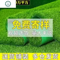 仿真坪 绿植物人造 人工塑料假皮学校幼儿园地毯室内楼顶阳台 封后 1厘米加密草翠绿色仿真植物