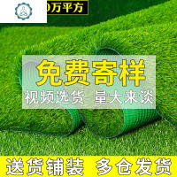 仿真坪 绿植物人造 人工塑料假皮学校幼儿园地毯室内楼顶阳台 封后 3厘加密春草仿真植物