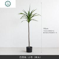 巴西铁假树仿真树 室内盆栽植物 北欧大型绿植客厅摆件 封后 巴西铁115cm(单头)仿真植物