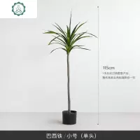 巴西铁假树仿真树 室内盆栽植物 北欧大型绿植客厅摆件 封后 巴西铁215cm(三头)仿真植物