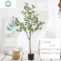 仿真绿植尤加利树客厅落地大型假树桉树盆摘北欧仿真植物金钱叶树 封后 老尤加利1.75米送花篮