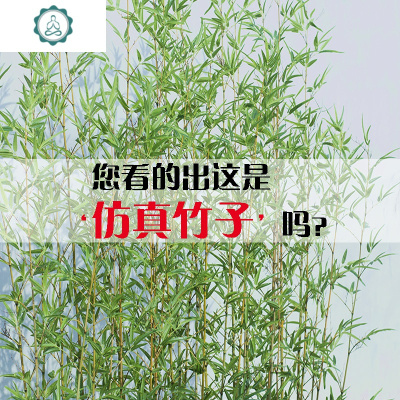 仿真竹子假竹子客厅隔断室内造景植物室外装饰竹盆栽绿植加密 封后 仿真竹高1.8米30棵仿真植物