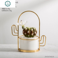 多肉仙人掌绿植仿真植物盆栽北欧创意服装店桌面装饰品可爱小摆件 封后 仙人掌造型-多肉绿色