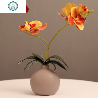 蝴蝶兰仿真花艺套装摆件家居客厅卧室办公室桌面假花装饰品摆设 封后 黑花瓶+粉色花
