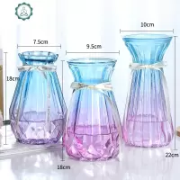 [三件套]现代简约创意玻璃瓶透明水培水养植物干花客厅插花摆件 封后 18南瓜F3+18南瓜F1+18南瓜F2 中等