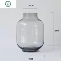 北欧风格冷灰色玻璃花瓶透明简约创意水培花瓶摆件客厅餐桌插花瓶 封后 冷灰-大号