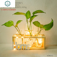 ins小玻璃花瓶北欧创意餐桌客厅房间卧室摆件桌面家居装饰品摆设 封后 HOME五孔木色+灯(不含植物)