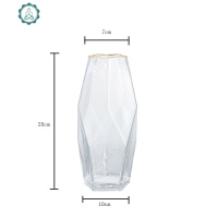 鲜花欧式轻奢水养富贵竹插花瓶摆件玻璃创意透明 封后 几何小号冷纹描金(高品质)