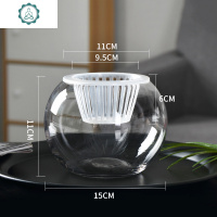 水培植物玻璃瓶 水培绿萝盆栽花盆透明花瓶摆件水养植物容器器皿 封后 15鹅蛋+水培蓝 大