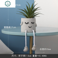 北欧盆栽摆件创意吊脚娃娃多肉仿真植物仙人掌假绿植装饰室内客厅 封后 黑胡子+龙猫