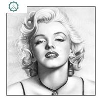 性感装饰画黑白现代简约风格单幅人物壁画玛丽莲梦露挂画卧室墙画 封后 如图 70*70银色框壁饰