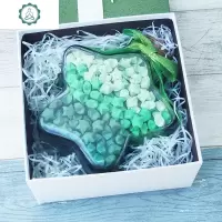 创意幸运星星玻璃瓶许愿瓶子520成品五角星折纸diy绿色套装 封后 520个星星+大号瓶+礼盒+灯绿色星许愿瓶/幸运星瓶