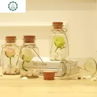 星星装的玻璃小号瓶子透明创意可爱大号放许愿星手工摆设折纸 封后 大号空许愿瓶一个许愿瓶/幸运星瓶