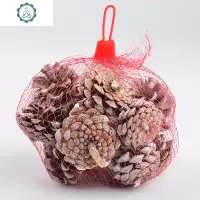 手工制作材料创意diy天然摆件松果松塔松子干花果实装饰树枝干枝 封后 松果套装 干花包