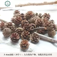 松果装饰带籽干莲蓬天然干花 幼儿园干树枝森系材料包松塔 封后 10-12cm美国松4个 干树枝