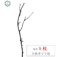 干枝装饰禅意艺术装饰树枝枯枝插花干树枝分杈软件家居摆件干支 封后 直径1-2厘米左右*长60厘米5根 干树枝