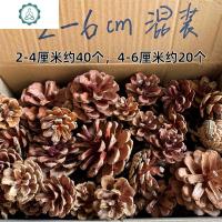 封后(FENGHOU)松果天然干花树枝装饰手工制作zakka幼儿园diy红果松针圣诞节材料 长30cm粗0.8-1.2c