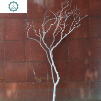 干树枝干枝干树白色枯树枝仿真艺术假树造型树树枝装饰仿真珊瑚枝 封后 2.5米 干树枝