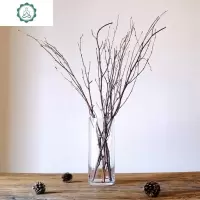[桦树枝]天然干树枝自然风软装摆件禅意艺术插花北欧家居装饰 封后 一束7~8枝(45~65cm) 干树枝