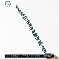 尤加利叶干花束客厅摆设干树枝装饰永生花植物标本ins风假花摆件 封后 金色水培器+尤加利叶[仿真花] 干树枝
