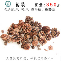 幼儿园环创干树枝松塔手工diy创意原料 封后 棉花壳75g 干花包