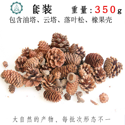 幼儿园环创干树枝松塔手工diy创意原料 封后 橡果壳200g150个左右 干花包